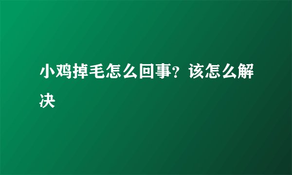 小鸡掉毛怎么回事？该怎么解决