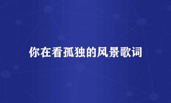 你在看孤独的风景歌词