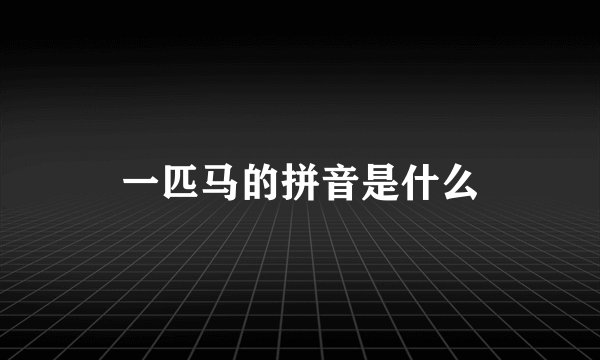 一匹马的拼音是什么