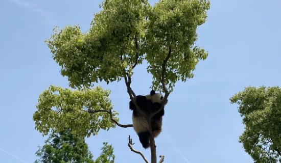 上海景点排名前十