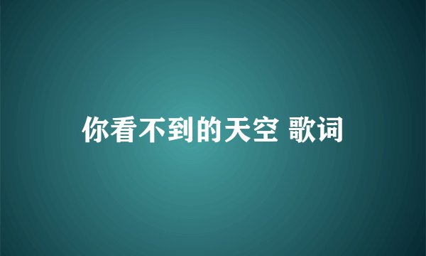 你看不到的天空 歌词