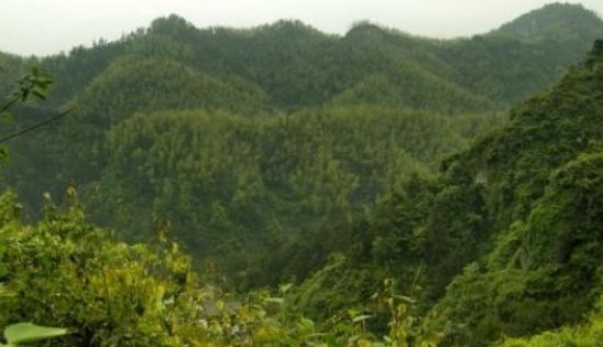 16课青山不老主要讲了什么内容