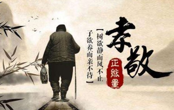 树欲静而风不止 子欲养而亲不待 什么意思