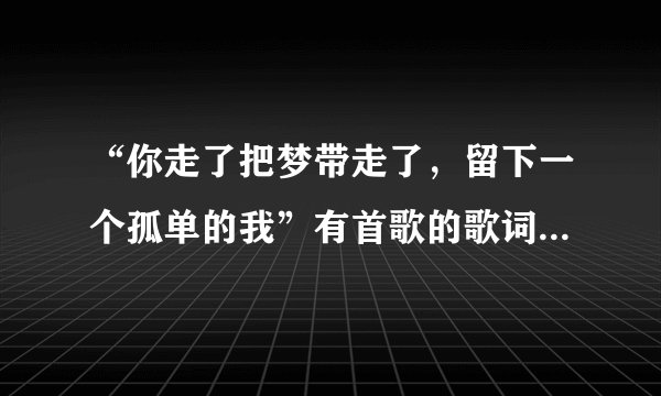 “你走了把梦带走了，留下一个孤单的我”有首歌的歌词是这样唱的谁知道是什么歌啊