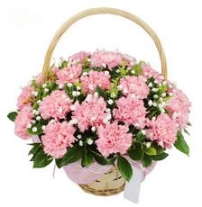 送老师应该送什么花