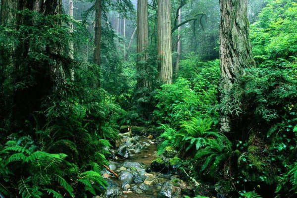 世界上真的有黄泉路吗？