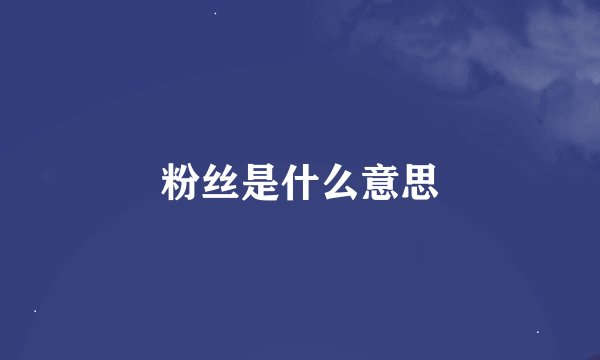 粉丝是什么意思