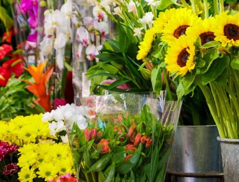 哪里有学插花的学校？