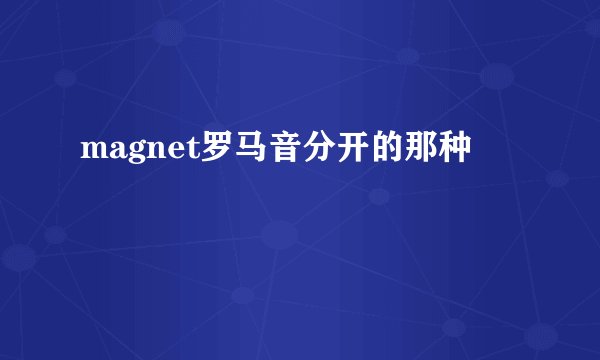 magnet罗马音分开的那种