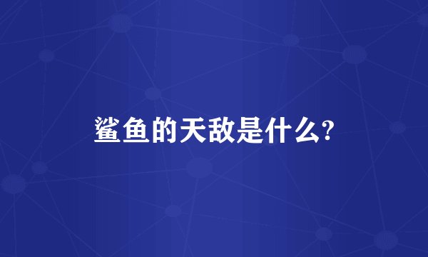 鲨鱼的天敌是什么?
