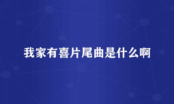 我家有喜片尾曲是什么啊