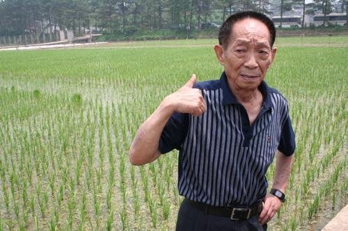 袁隆平团队在内蒙古试种海水稻，废地能变成宝地？