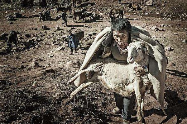 内蒙古重大刑案致3死2伤，凶手被拘捕了吗？