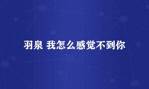 羽泉 我怎么感觉不到你