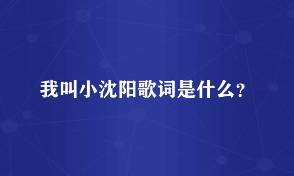 我叫小沈阳歌词是什么？
