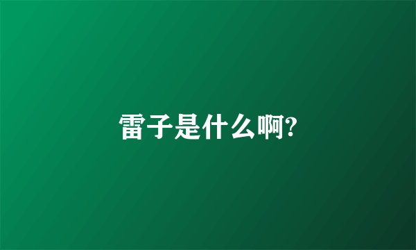 雷子是什么啊?