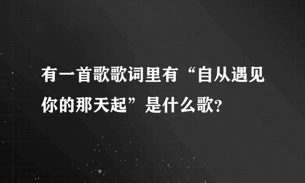 有一首歌歌词里有“自从遇见你的那天起”是什么歌？