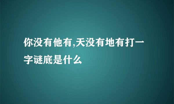 你没有他有,天没有地有打一字谜底是什么