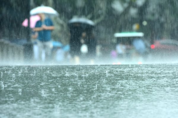 填词语说()的阵雨