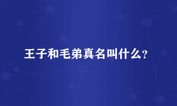 王子和毛弟真名叫什么？