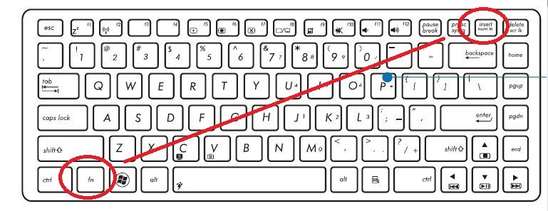 笔记本键盘字母变数字怎么按回来
