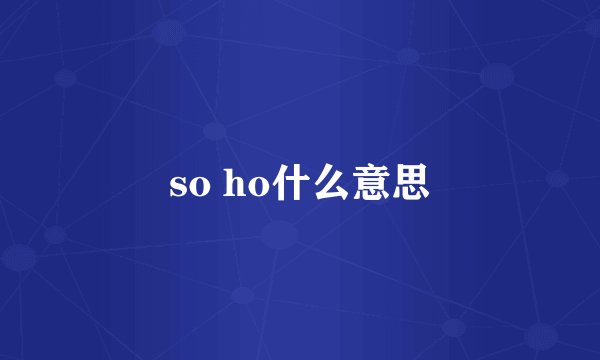 so ho什么意思