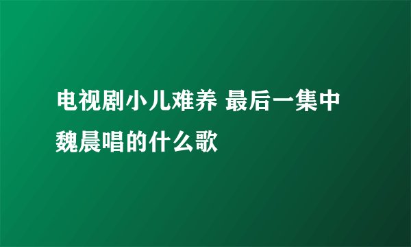 电视剧小儿难养 最后一集中魏晨唱的什么歌