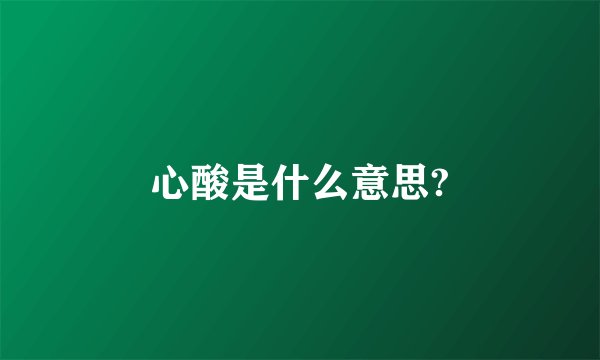 心酸是什么意思?