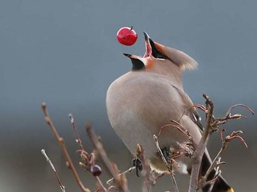 一年级快活的什么如何填空？