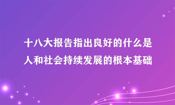 十八大报告指出良好的什么是人和社会持续发展的根本基础