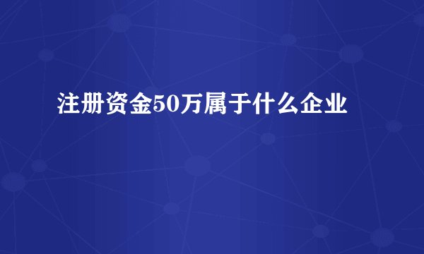 注册资金50万属于什么企业