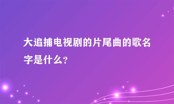 大追捕电视剧的片尾曲的歌名字是什么？