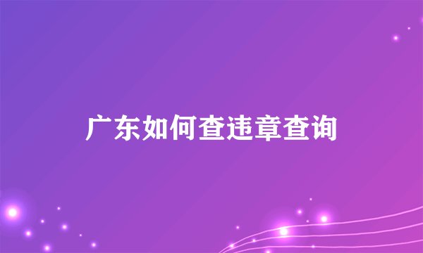 广东如何查违章查询