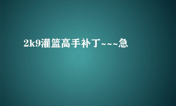 2k9灌篮高手补丁~~~急