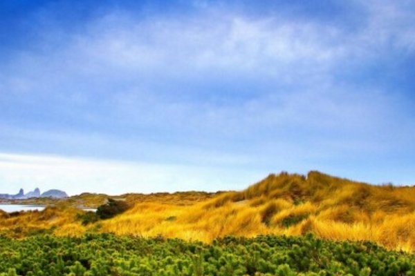 好朋友抢了你的男朋友，你会怎么做？