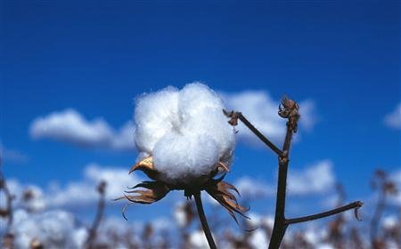 多家平台下架HM商品,这是发生了什么事?