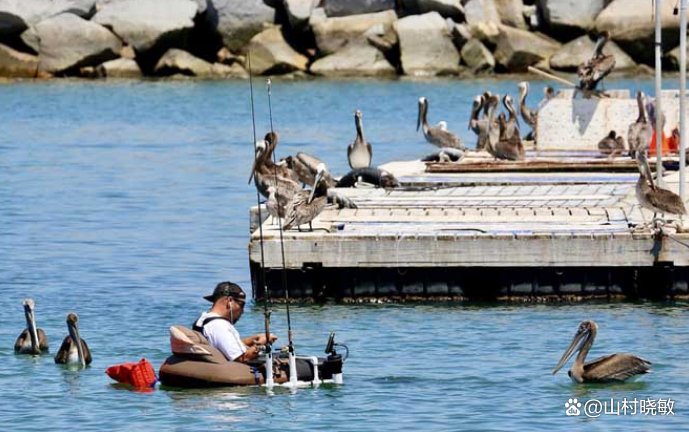 三月四月不钓鱼是怎么回事？