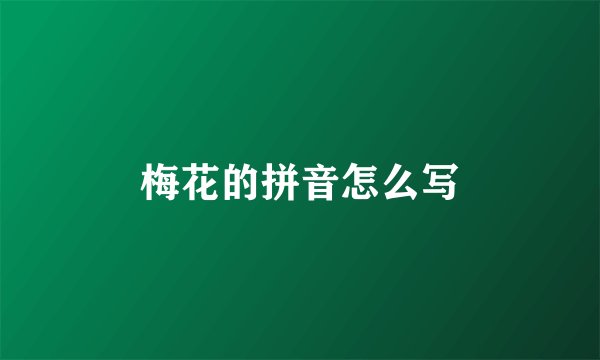 梅花的拼音怎么写