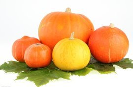 我国最好的南瓜产地在哪里？