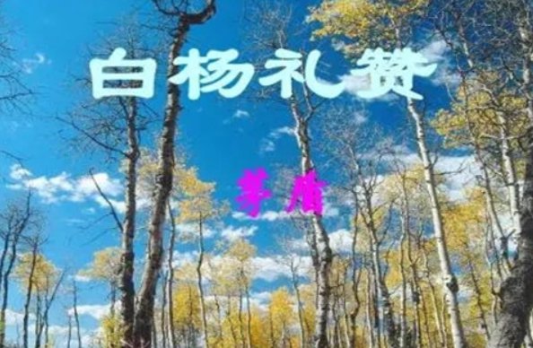 矛盾的作品有哪些?