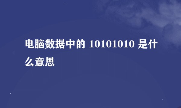 电脑数据中的 10101010 是什么意思
