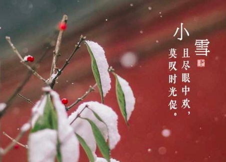 描写小雪的诗句有哪些？