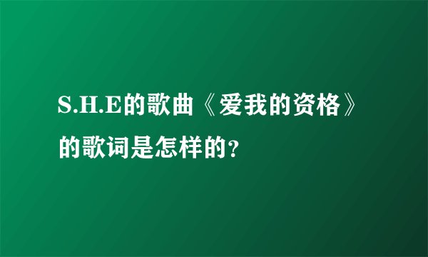 S.H.E的歌曲《爱我的资格》的歌词是怎样的？