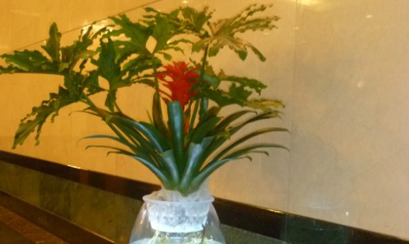 哪里订酒店最便宜?