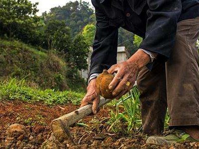 农村现状及存在的问题有哪些?