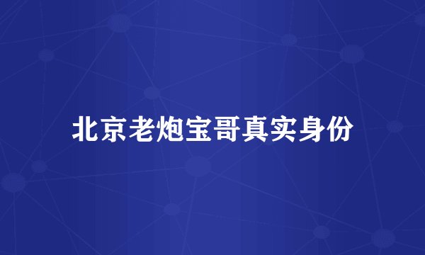 北京老炮宝哥真实身份