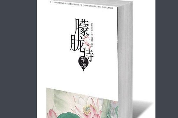 说说朦胧诗的特点