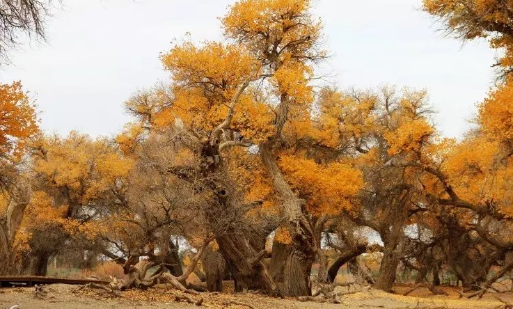 十月份国内哪里旅游好