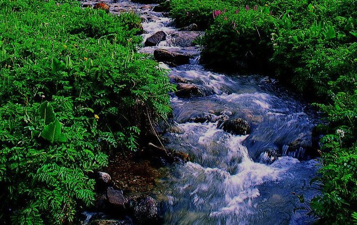 什么的小溪？二年级语文