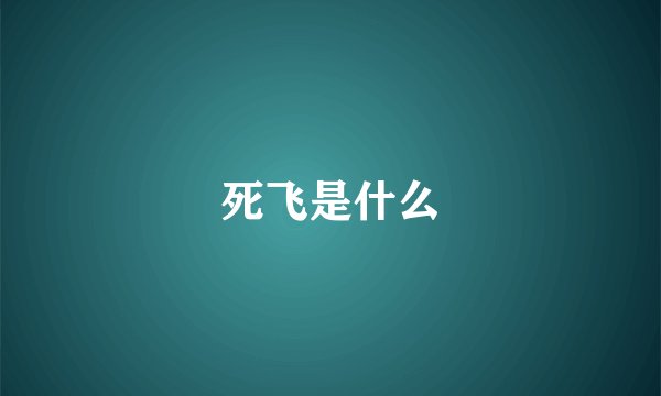死飞是什么